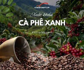 Xuất khẩu cà phê xanh – từ xu hướng tiêu dùng đến “luật chơi mới” của thương mại toàn cầu