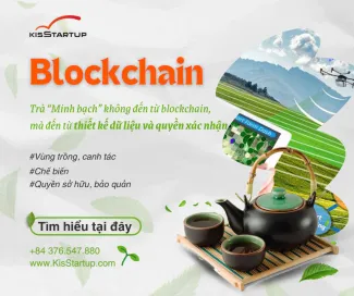 Blockchain trong trà “Minh bạch” không đến từ blockchain, mà đến từ thiết kế dữ liệu và quyền xác nhận