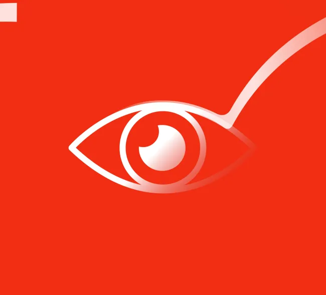 Vision